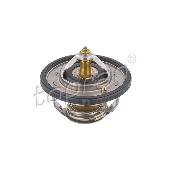 Termostatas, aušinimo skystis TOPRAN 820 596