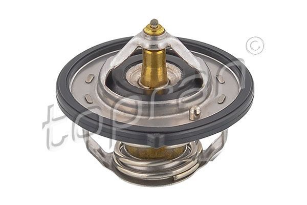 Termostatas, aušinimo skystis TOPRAN 820 596