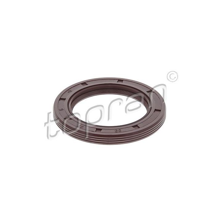 Veleno sandariklis, alkūninis velenas TOPRAN 302 175