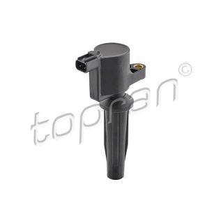 Ritė, uždegimas TOPRAN 302 726