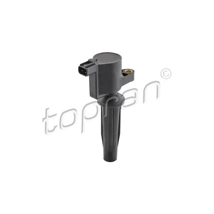 Ritė, uždegimas TOPRAN 302 726