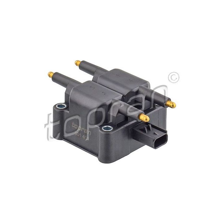 Ritė, uždegimas TOPRAN 501 401