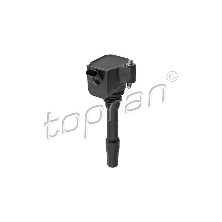 Ritė, uždegimas TOPRAN 623 901