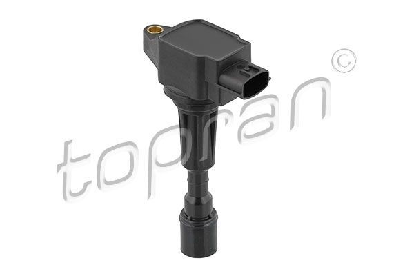 Ritė, uždegimas TOPRAN 623 903