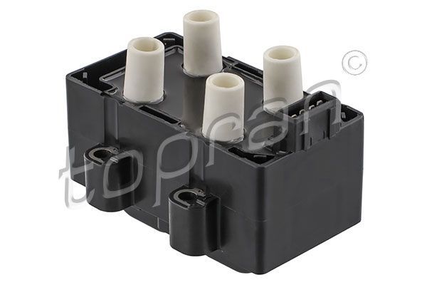 Ritė, uždegimas TOPRAN 700 221