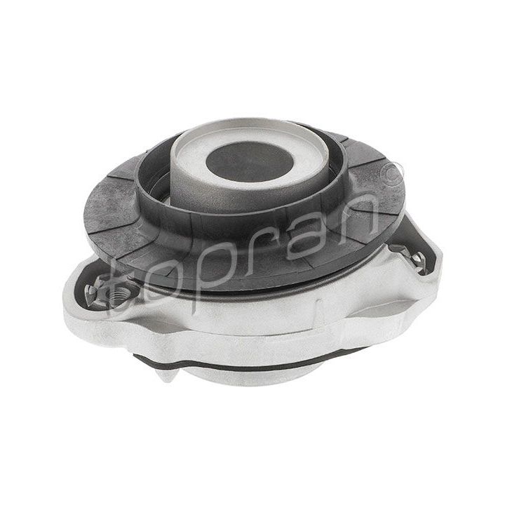 Pakabos statramsčio atraminis guolis TOPRAN 724 037