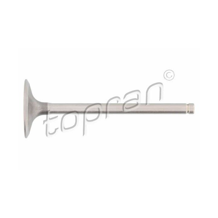 įvado vožtuvas TOPRAN 700 655