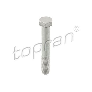 Varžtas TOPRAN 116 940