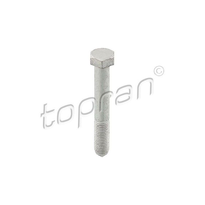 Varžtas TOPRAN 116 940