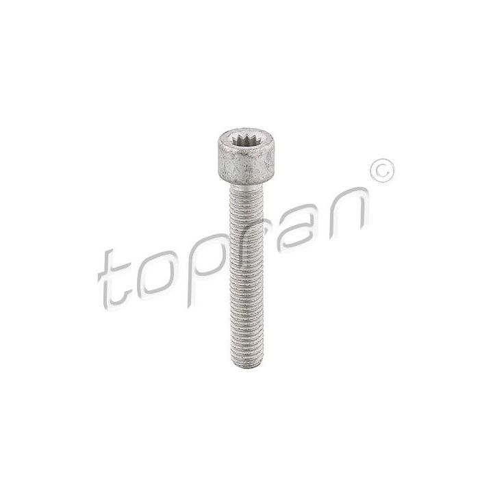 Varžtas, kardaninio veleno jungė TOPRAN 104 306