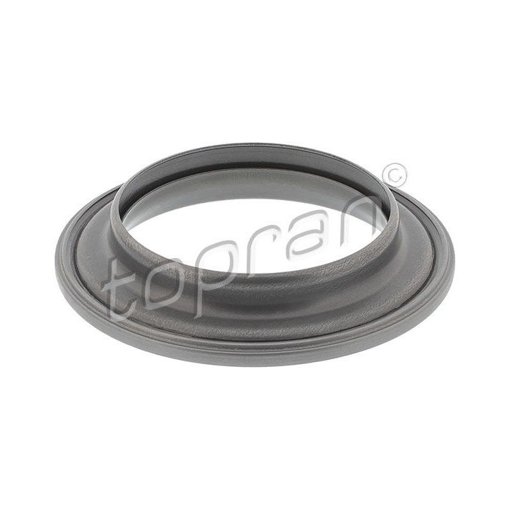 Frikcinis guolis, pakabos statramsčio atramos montavimas TOPRAN 721 069