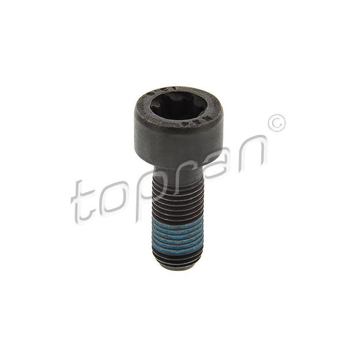 Smagračio varžtas TOPRAN 702 162