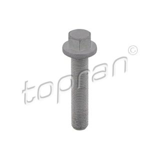 Skriemulio varžtas TOPRAN 503 133