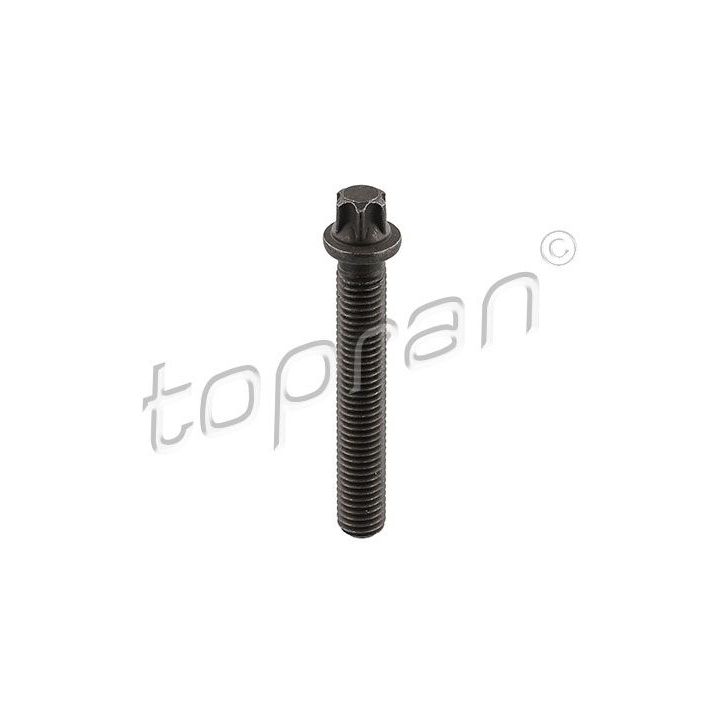 Skriemulio varžtas TOPRAN 503 682