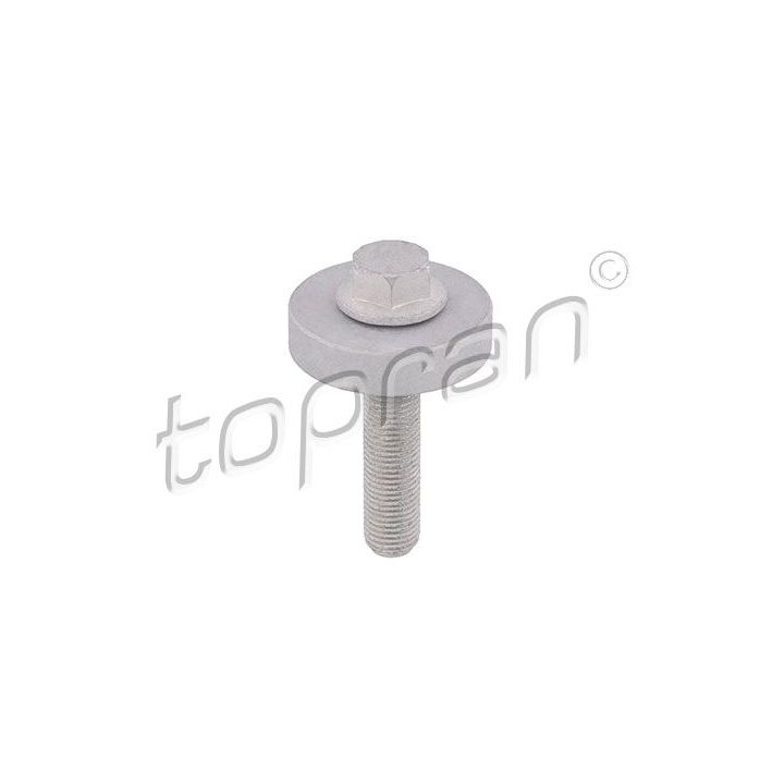 Skriemulio varžtas TOPRAN 701 418