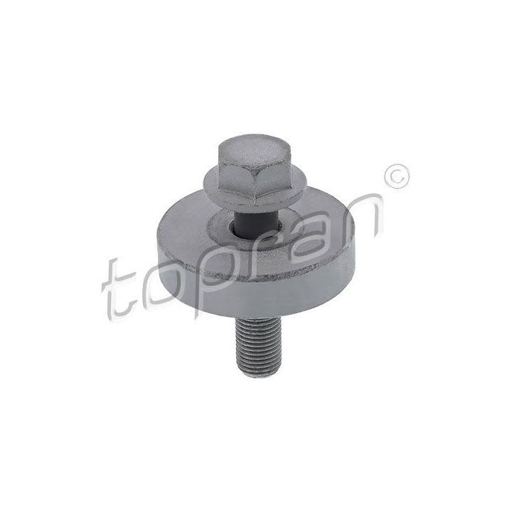 Skriemulio varžtas TOPRAN 701 616