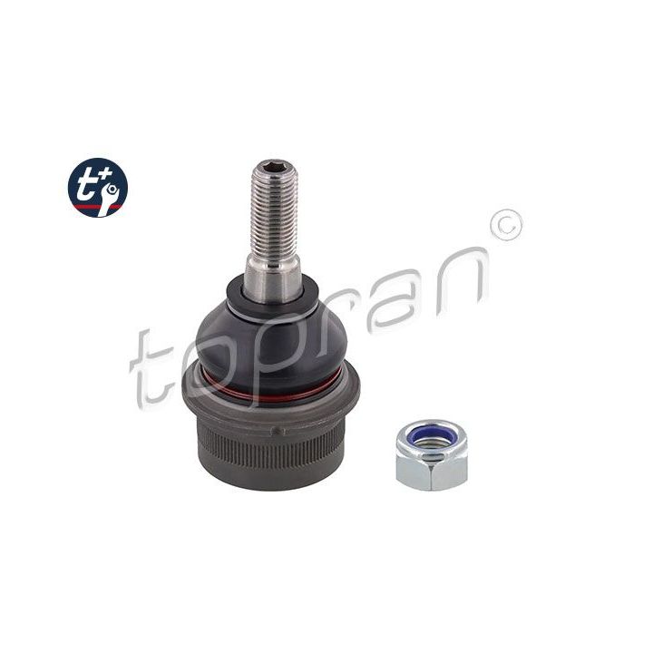 Šarnyras / girgždukas TOPRAN 207 674