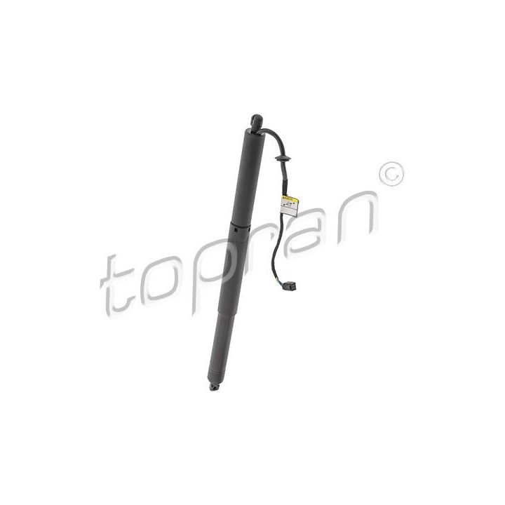 Galinių durų elektros variklis TOPRAN 117 775