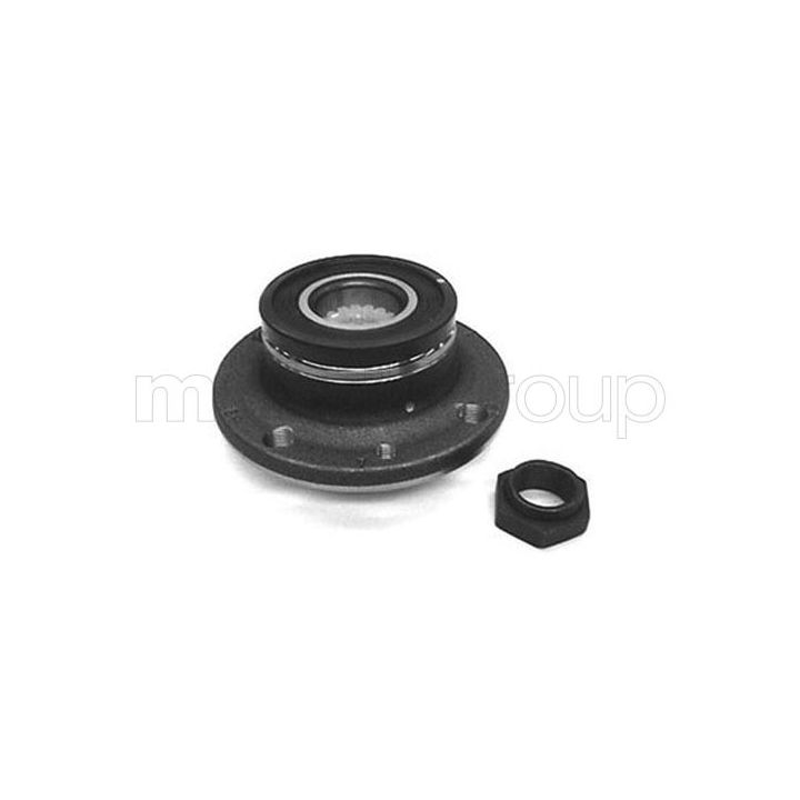 Rato guolio komplektas CIFAM 619-2536