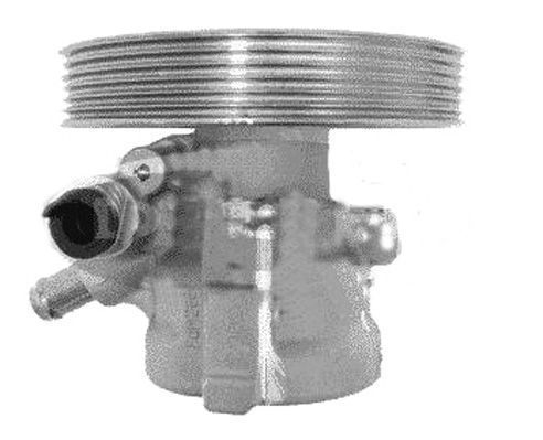 Hidraulinis siurblys, vairo sistema GENERAL RICAMBI PI1145