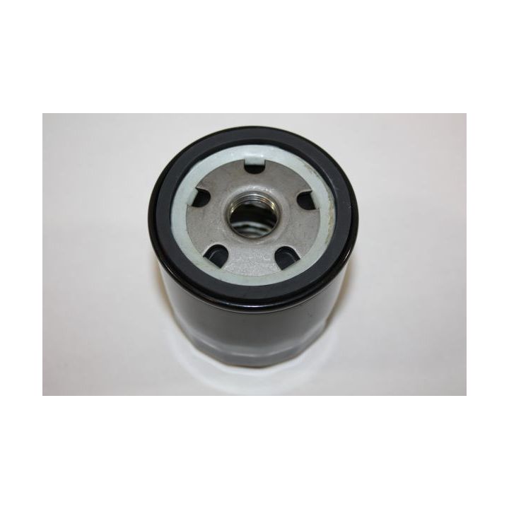 Alyvos filtras AUTOMEGA 180036110