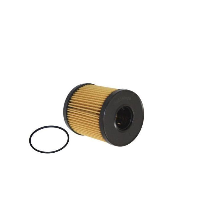 Alyvos filtras AUTOMEGA 180036210