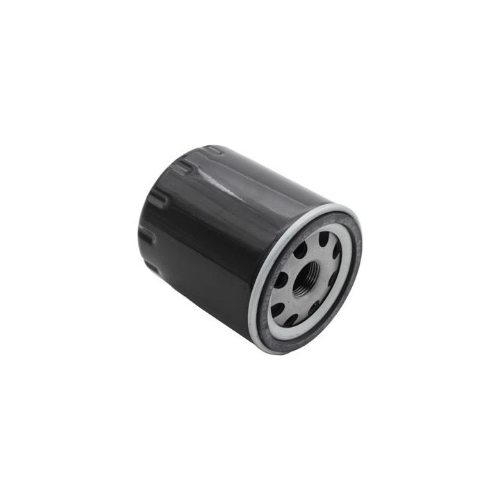 Alyvos filtras AUTOMEGA 180039210