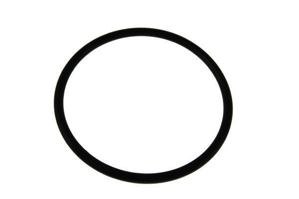 Alyvos filtras AUTOMEGA 180042010