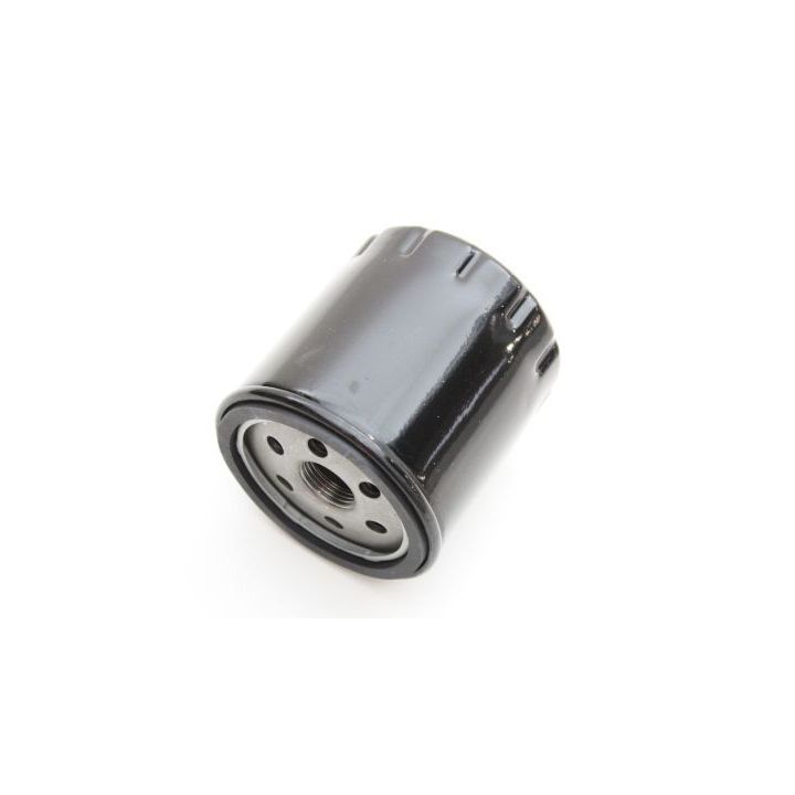 Alyvos filtras AUTOMEGA 180043310