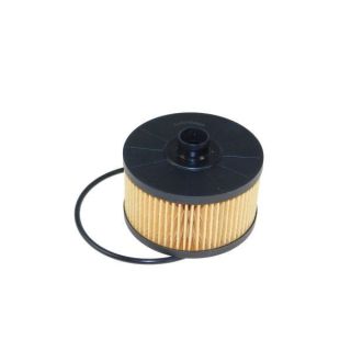 Alyvos filtras AUTOMEGA 180053910