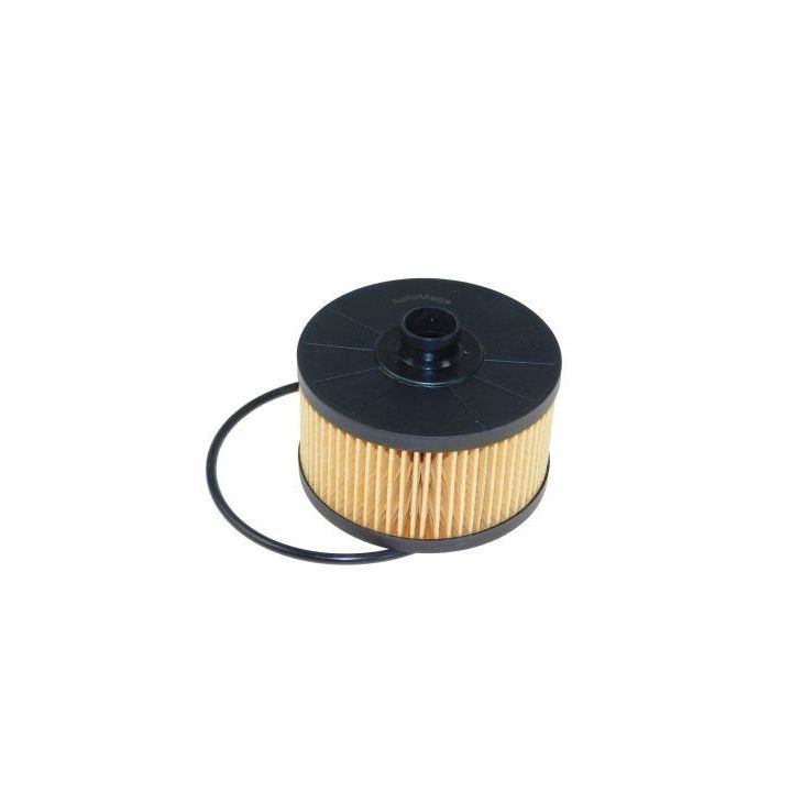 Alyvos filtras AUTOMEGA 180053910