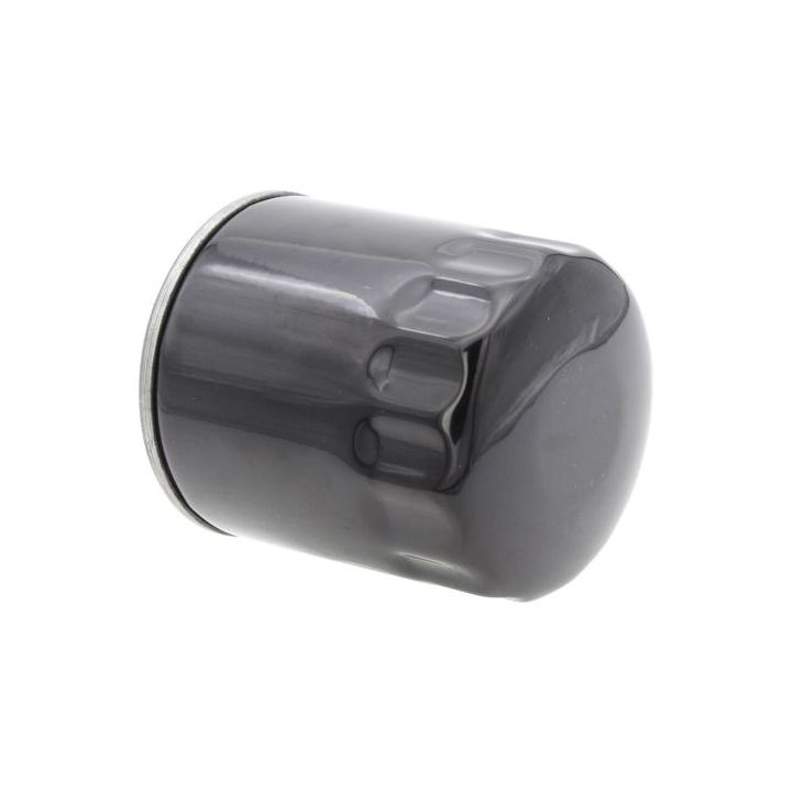 Alyvos filtras AUTOMEGA 210006610