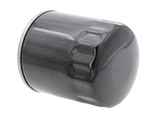 Alyvos filtras AUTOMEGA 210006610