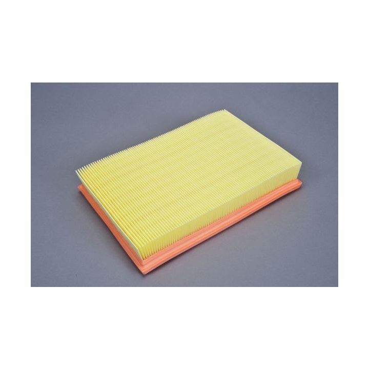 Oro filtras AUTOMEGA 180015710