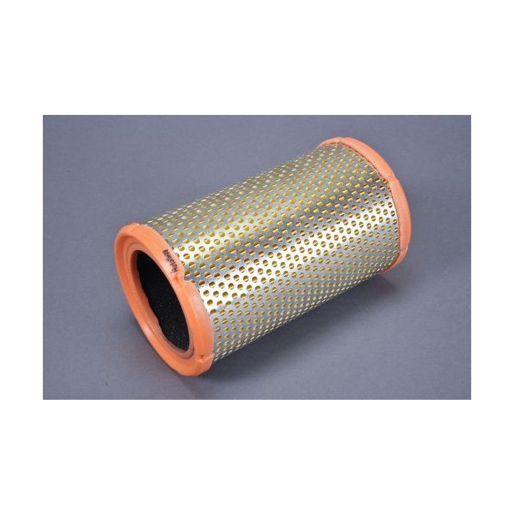 Oro filtras AUTOMEGA 180019610