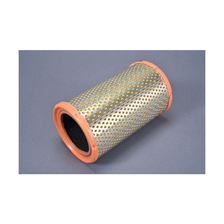 Oro filtras AUTOMEGA 180019610