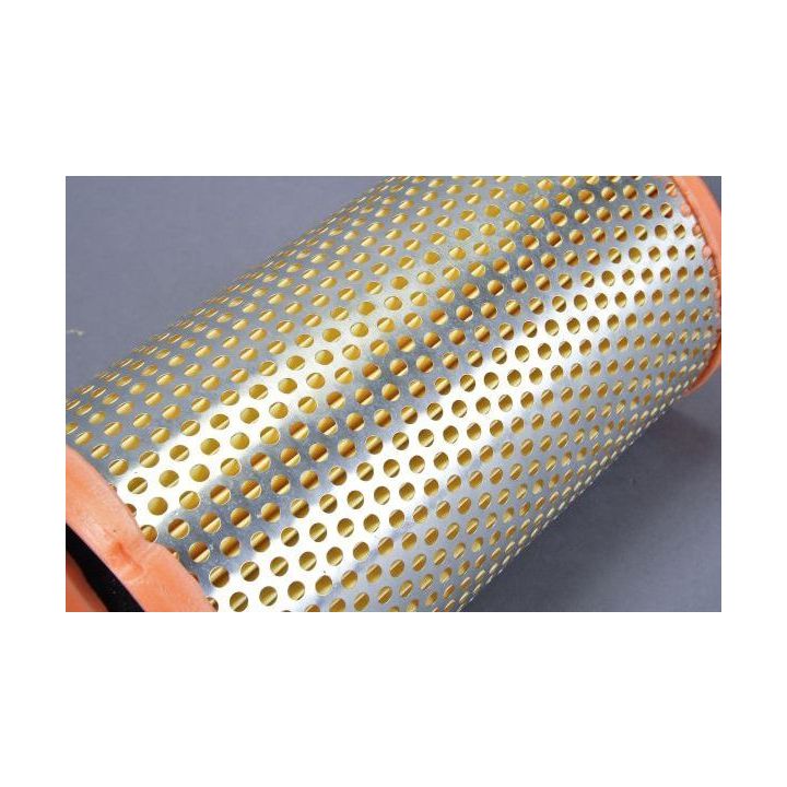 Oro filtras AUTOMEGA 180019610