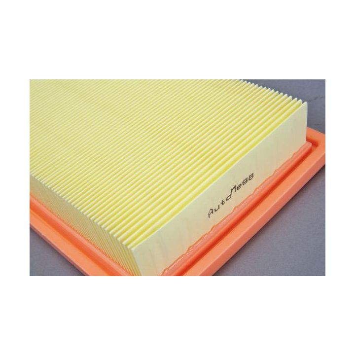 Oro filtras AUTOMEGA 180031010