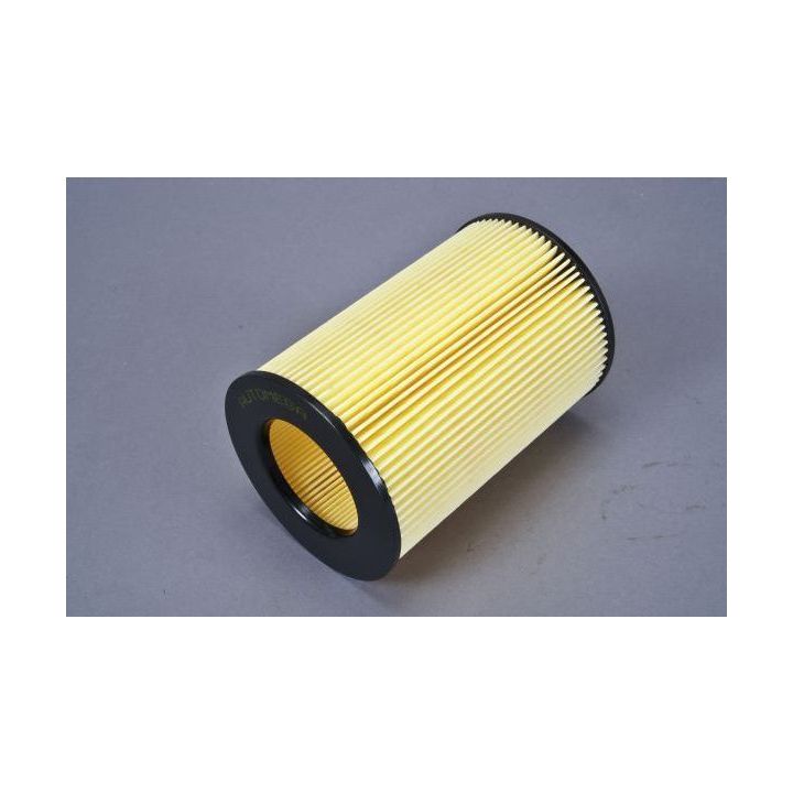 Oro filtras AUTOMEGA 180075110