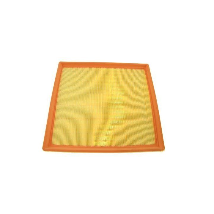 Oro filtras AUTOMEGA 210006310