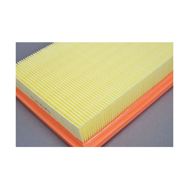 Oro filtras AUTOMEGA 210076410