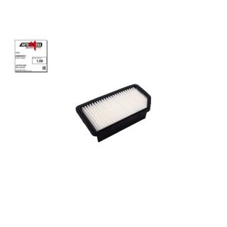 Oro filtras AUTOMEGA 250052810