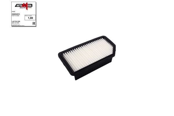 Oro filtras AUTOMEGA 250052810
