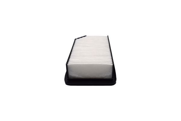 Oro filtras AUTOMEGA 250052810