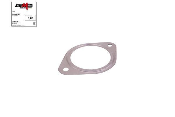 Tarpiklis, išleidimo kolektorius AUTOMEGA 190068310