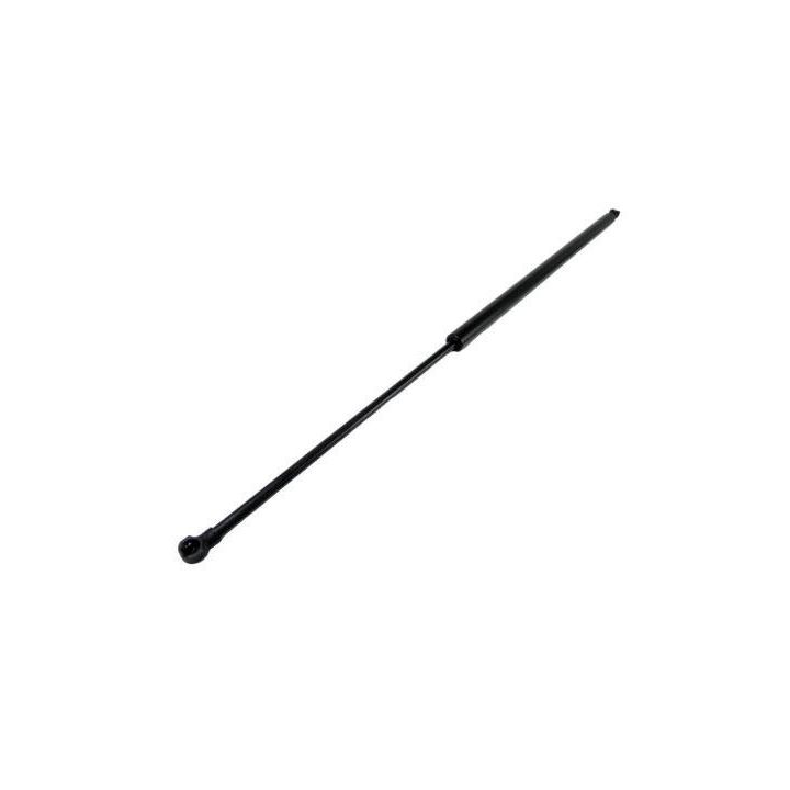 Dujinė spyruoklė, bagažinė AUTOMEGA 100049710