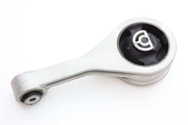 Variklio montavimas AUTOMEGA 130011810