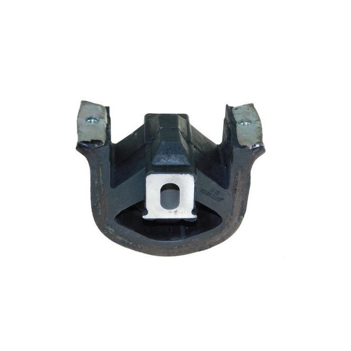 Variklio montavimas AUTOMEGA 130061210