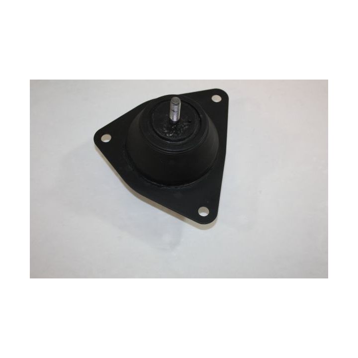 Variklio montavimas AUTOMEGA 130074410