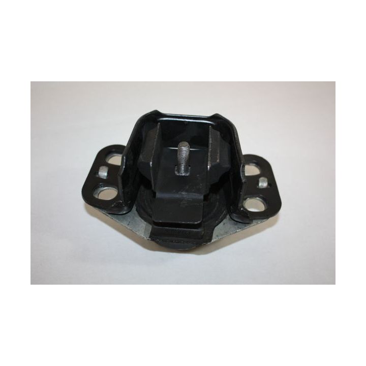 Variklio montavimas AUTOMEGA 130075010